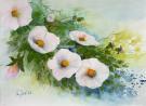 131__Heckenrose__Aquarell_40 x 50cm__Preis Fr. 380.-__.jpg